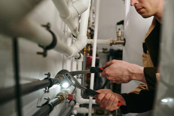 Best Commercial Plumbing Services  in Griggsvle, IL