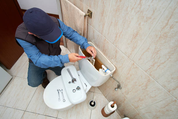 Best Plumbing Services Near Me  in Griggsvle, IL