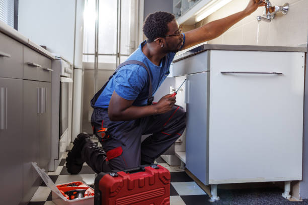 Best Affordable Plumbing Services  in Griggsvle, IL